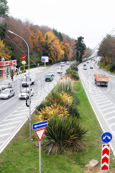 Осенняя дорога