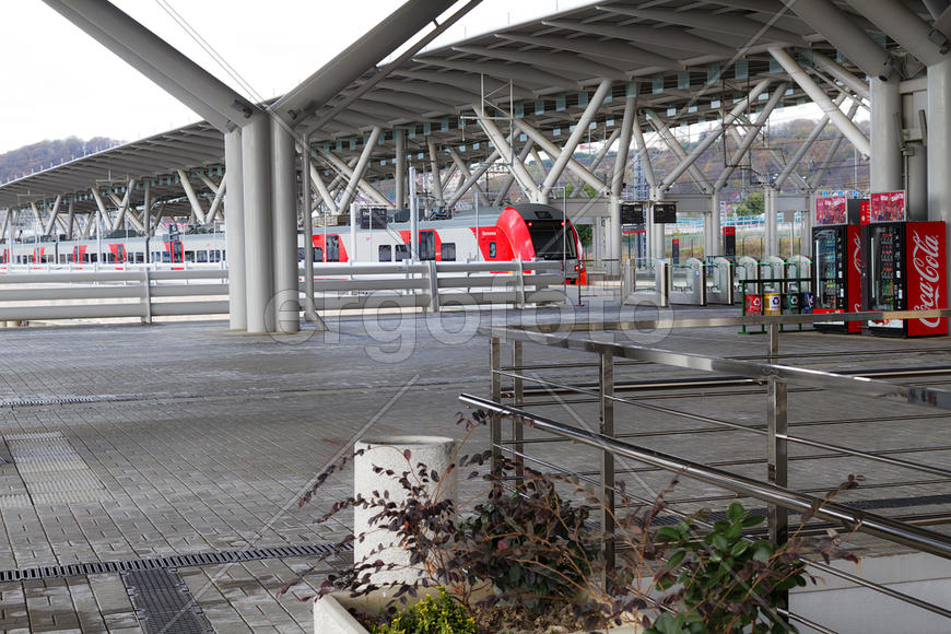 Вокзал "Олимпийский парк" Сочи