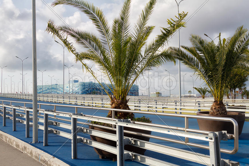 Пешеходный мост в Олимпийском парке