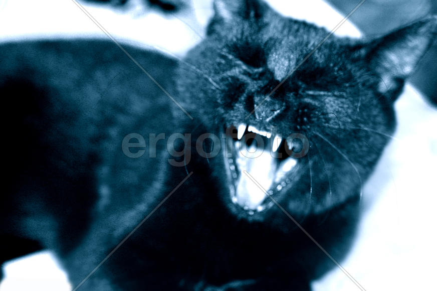 Пробуждение