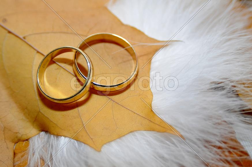 Золотые обручальные кольца на желтом кленовом листе