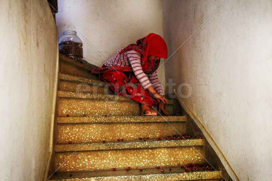 Мечеть и орехи