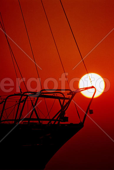 В оттенках трёх цветов