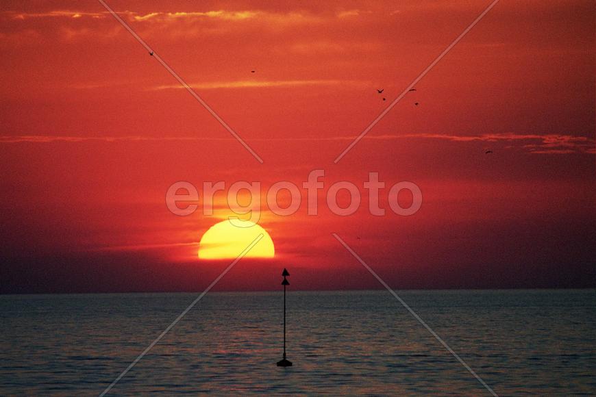 Половинка солнца