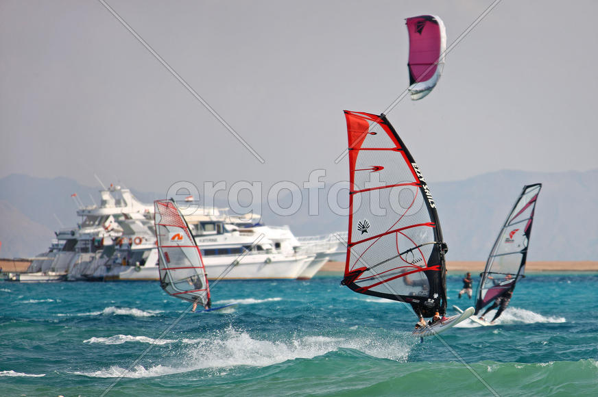 Они точно знают что живут! 