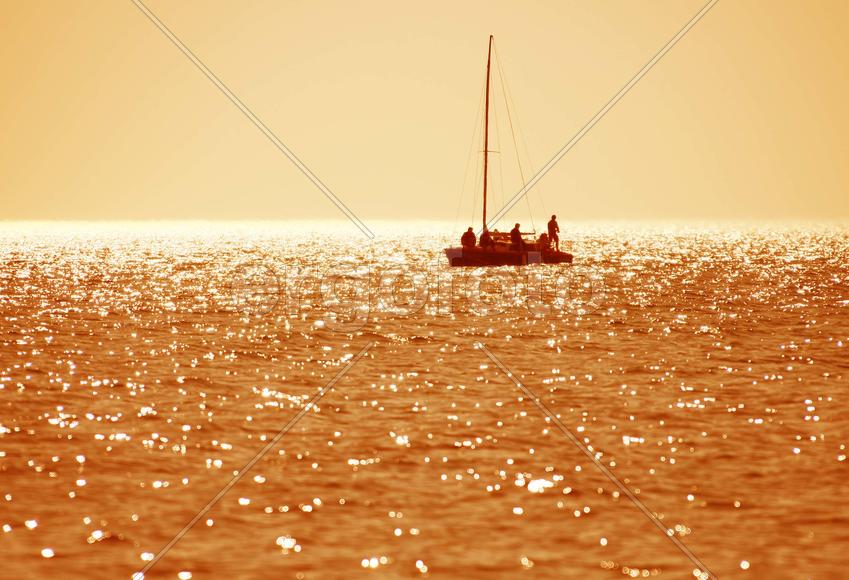 В поисках золотой рыбки