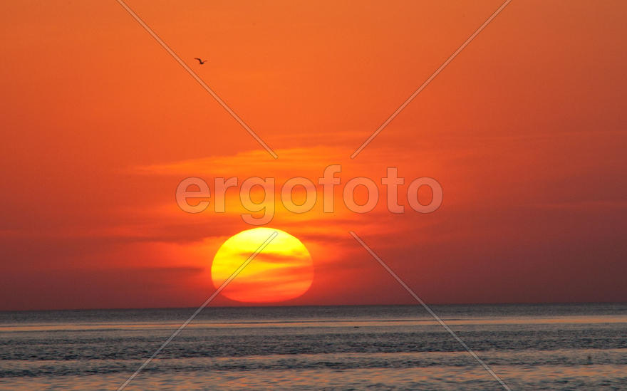 Большое жёлтое солнце