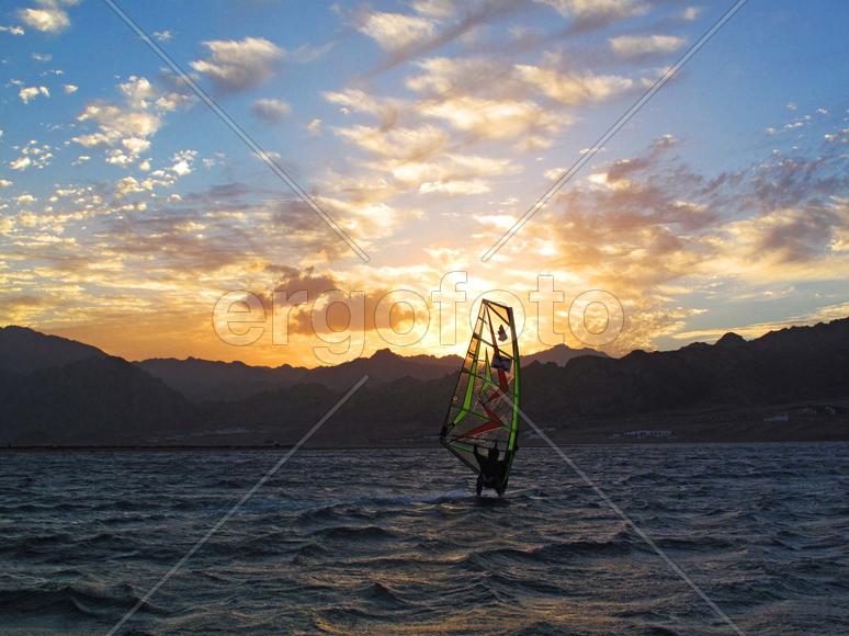 Неутомимый сёрфер