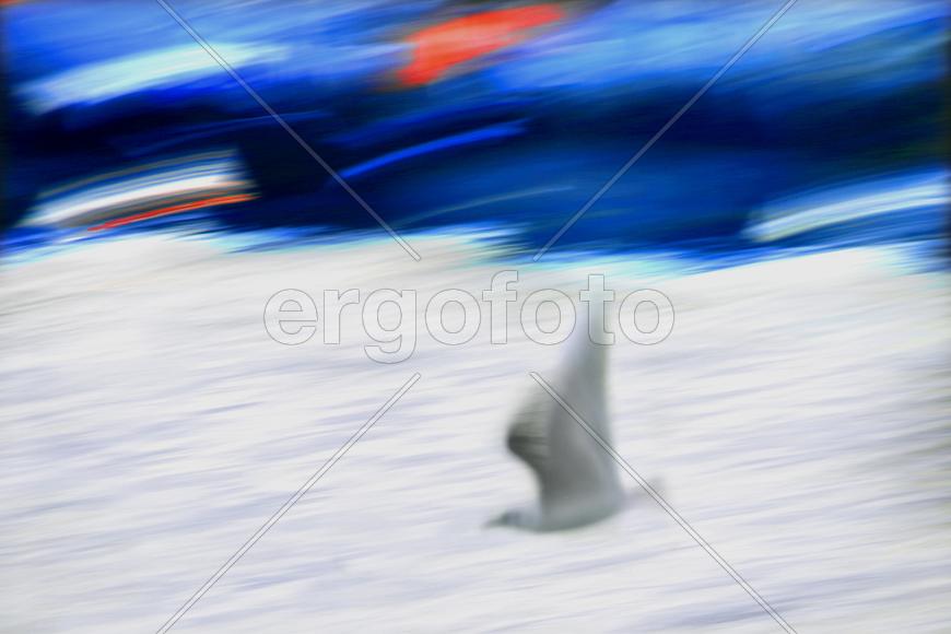 Белая птица