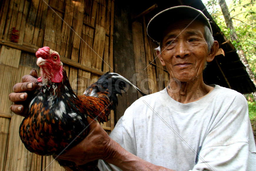 Мужчина с курицей