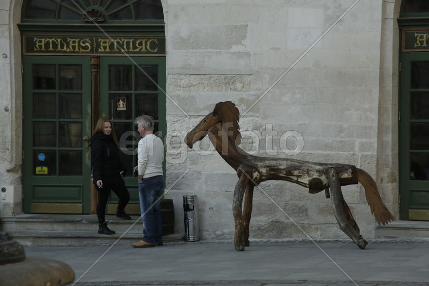 Лошадь в городе Львов