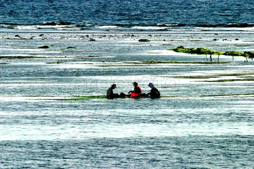 Бали. Люди плывут по воде