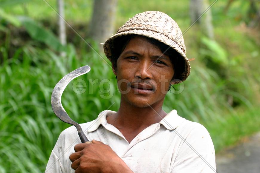 Серьезный взгляд