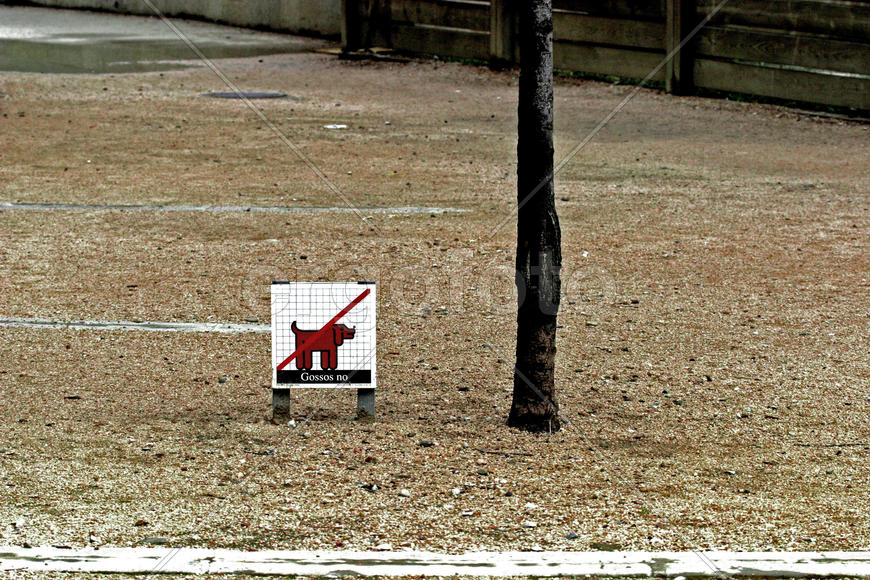 Собак не выгуливать