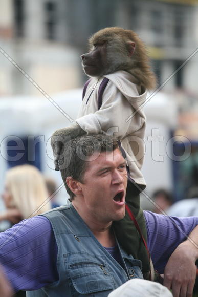 Мужчина с обезьяной