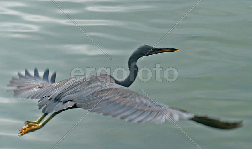 Легкий полет