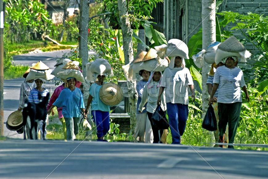 Остров Бали