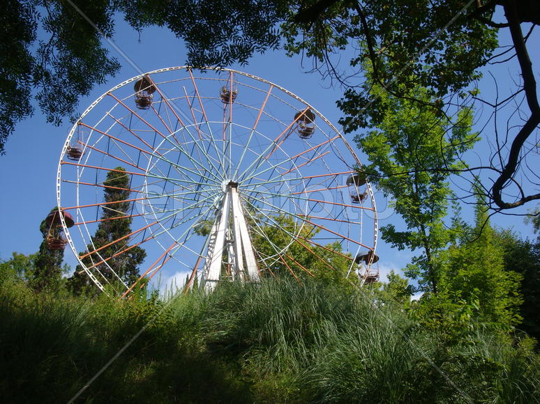 колесо обозрения в Абхазии