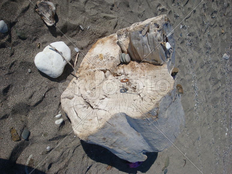 пень и камни