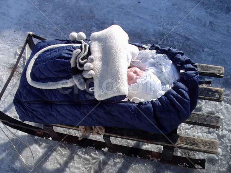 младенец на санях