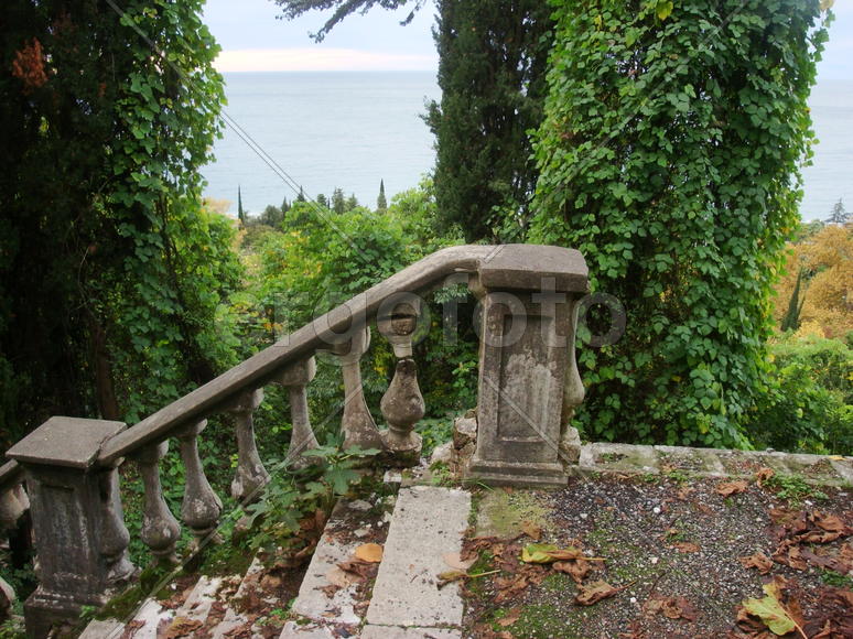 старая лестница