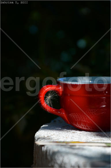 Чашка с пушинкой