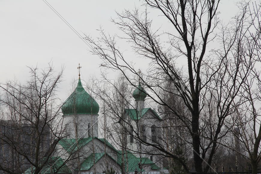 Вербное воскресенье. Купола и кресты