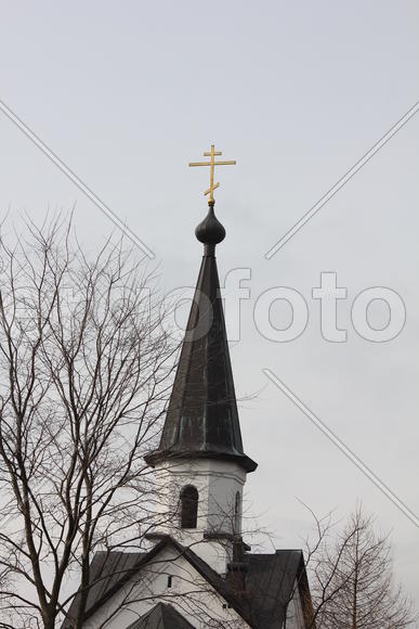 Вербное воскресенье. Возвышается крест