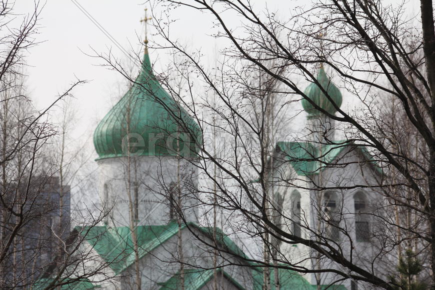 Вербное воскресенье. Купола и кресты
