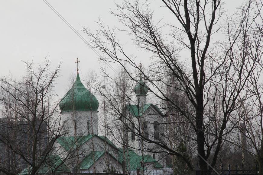 Вербное воскресенье. Купола и кресты