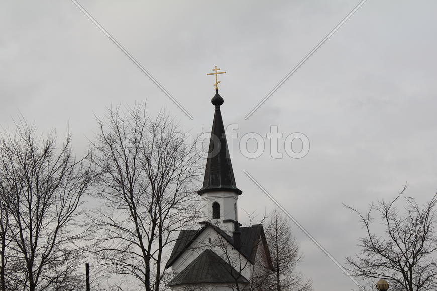 Вербное воскресенье. Возвышается крест