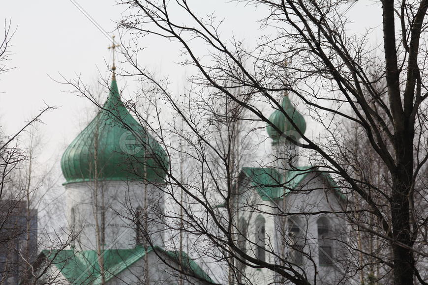 Вербное воскресенье. Купола и кресты