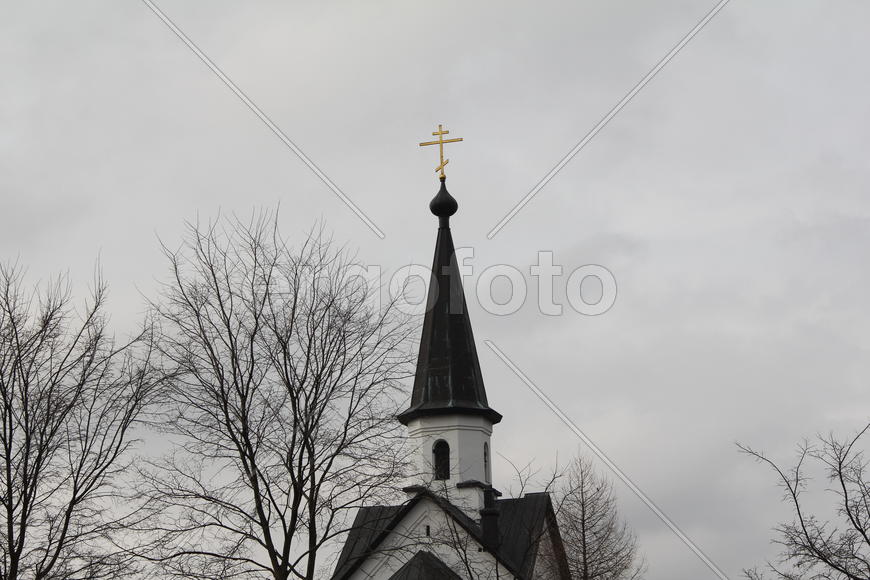 Вербное воскресенье. Возвышается крест