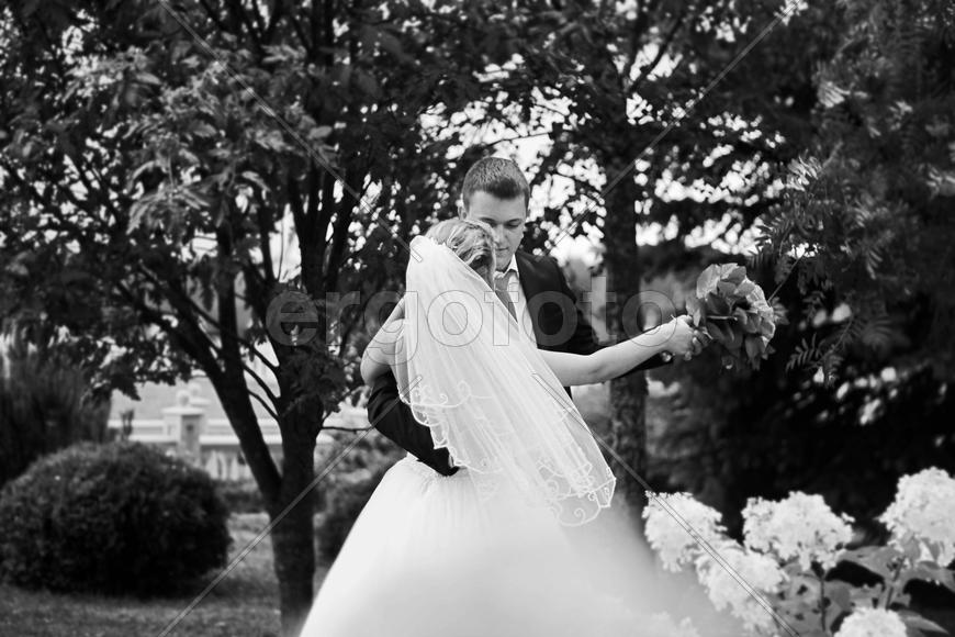 Влюбленные