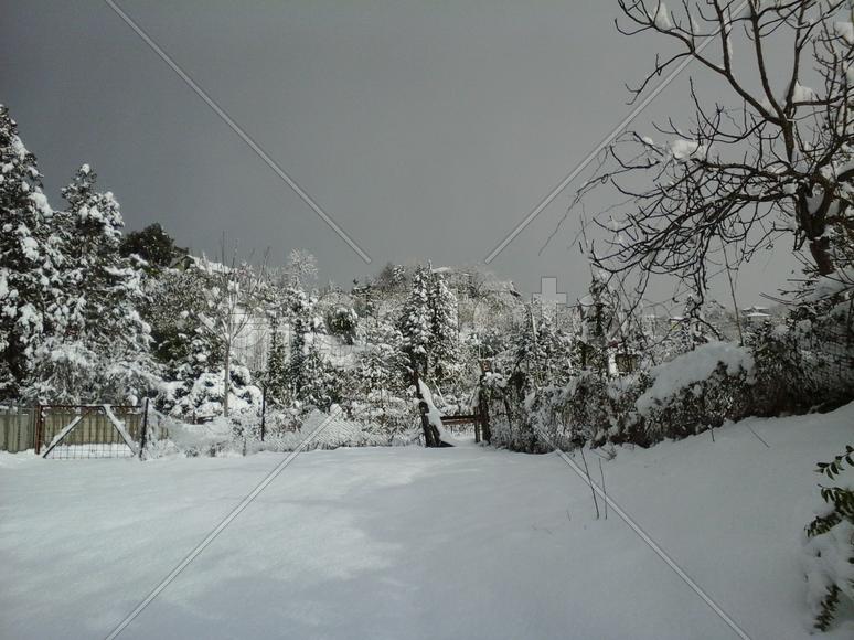 Зима в Батуми