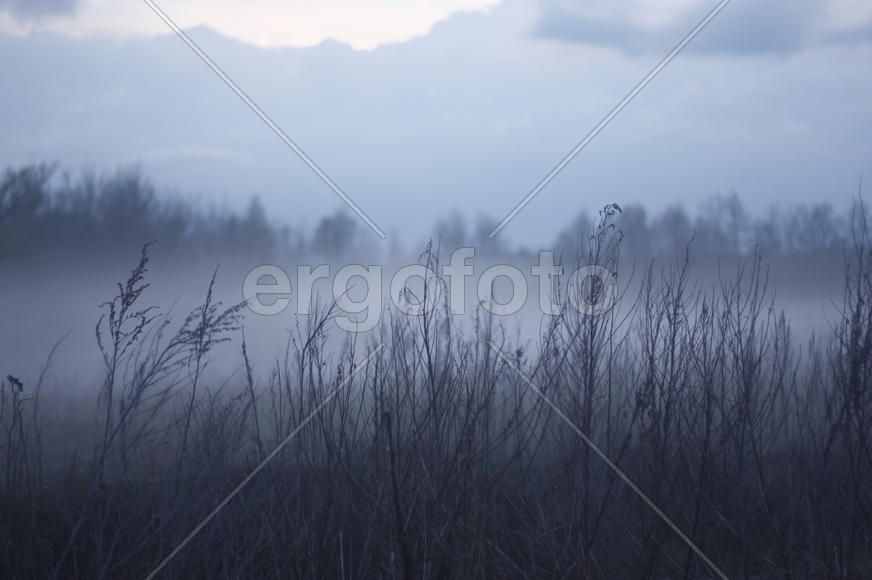 Влажная тишина