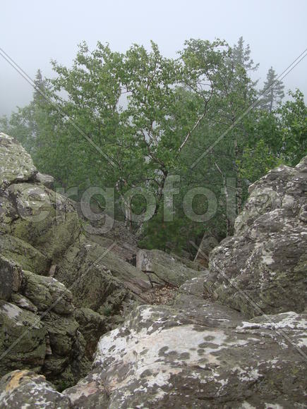 Уральские горы