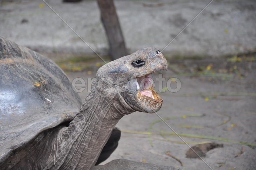 Старших нужно уважать везде!!!