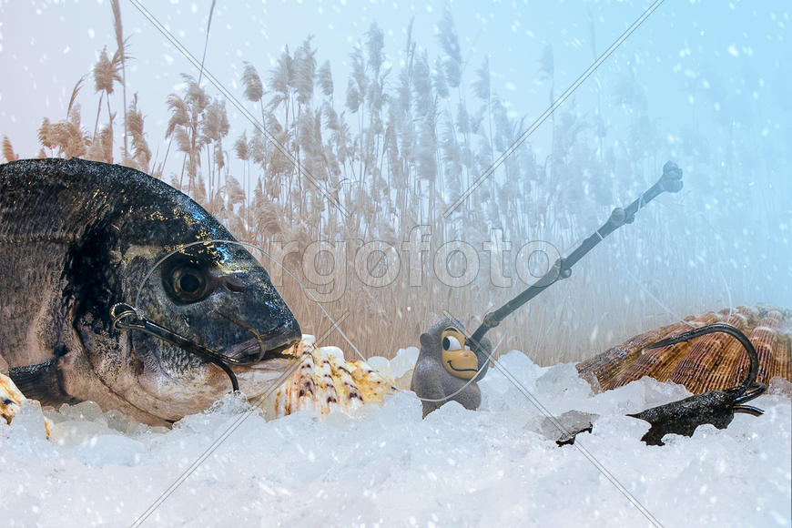 Дон-Море-со-снегом