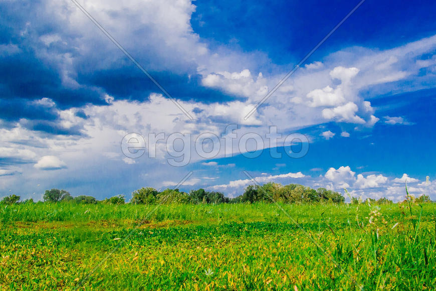 Окрестности с.Подгоры, Самарская Лука