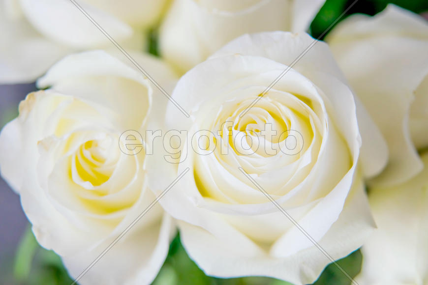 Свадебный букет