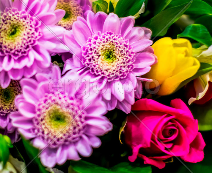 Букет, цветы