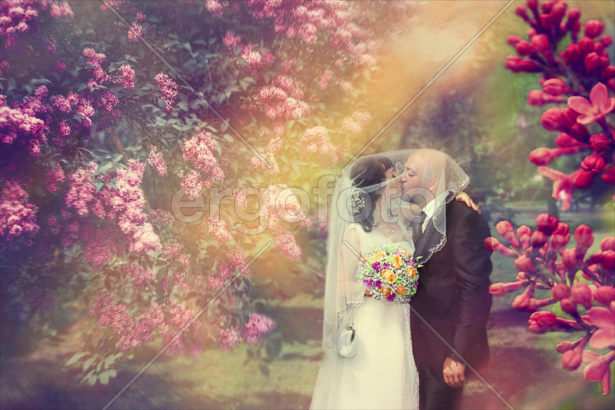 Свадебная романтика