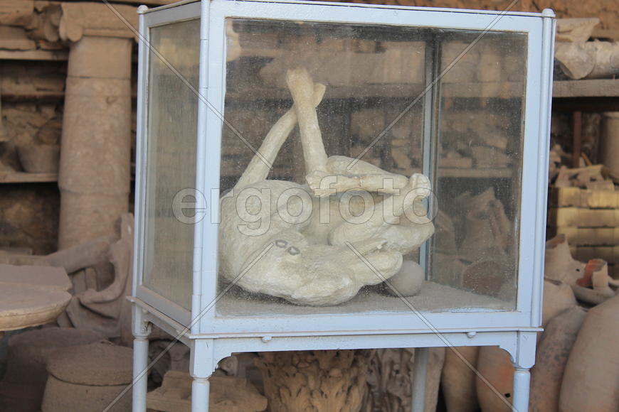 Экспонат музея