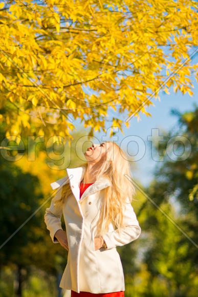 Мила. Портрет осенью