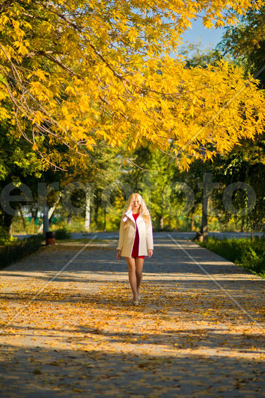 Мила. Портрет осенью