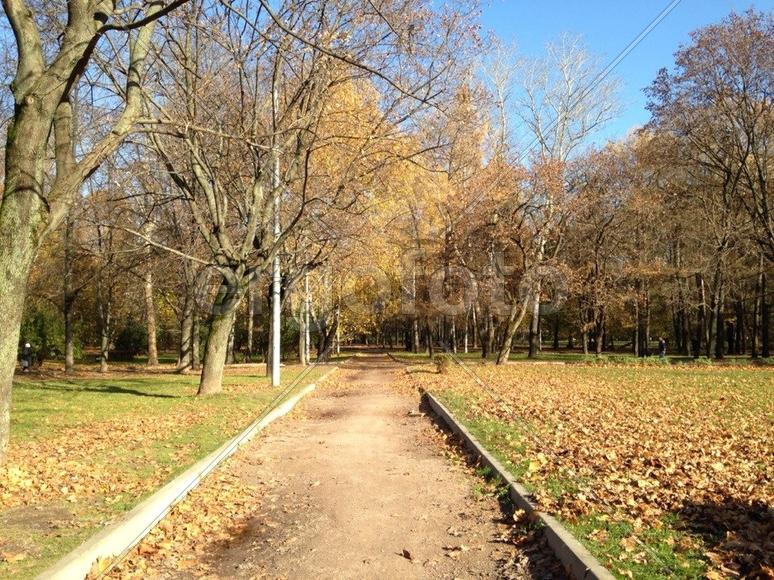 Аллея в парке Дубки