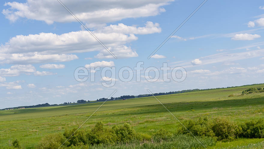 Луг и голубое небо