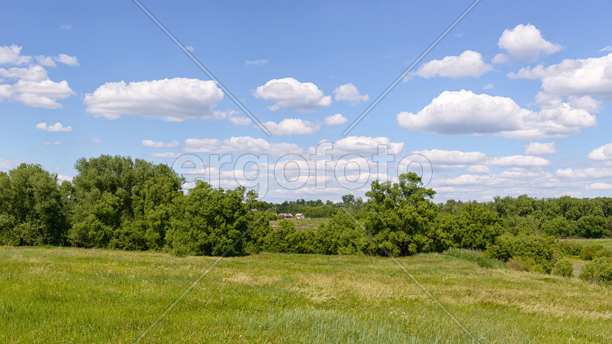 Летний пейзаж