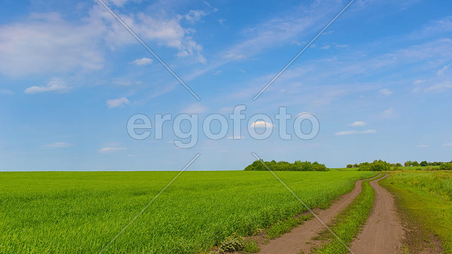 Грунтовая дорога ведущая вдаль